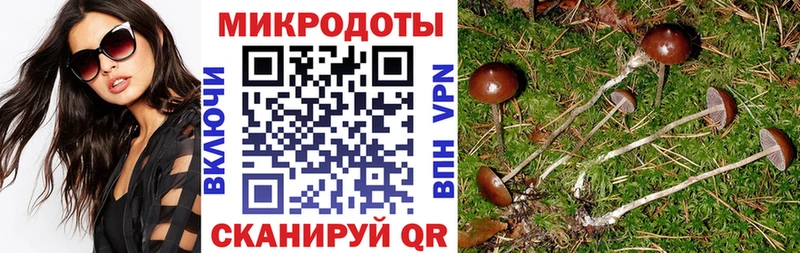 гидра рабочий сайт  Партизанск  Галлюциногенные грибы GOLDEN TEACHER 